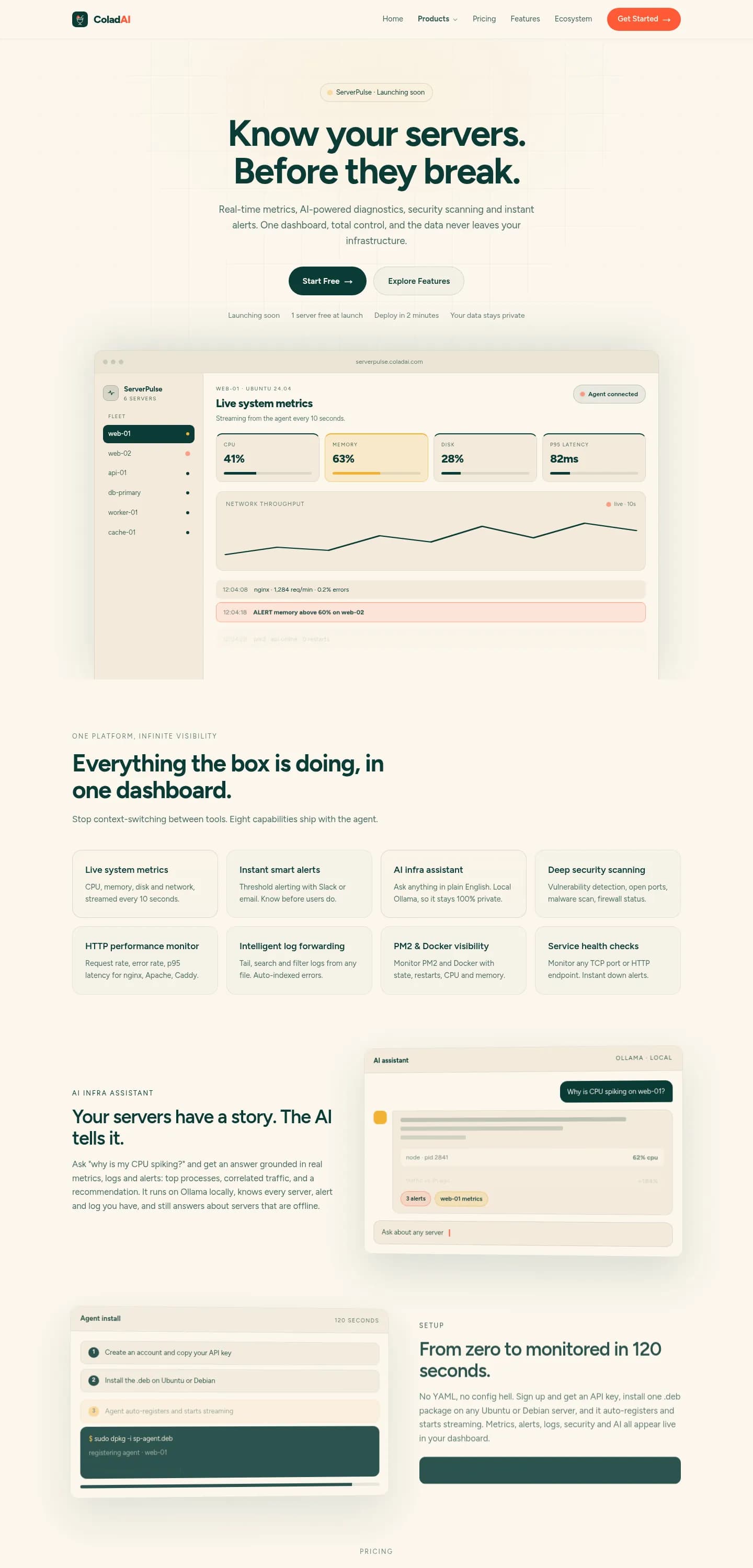 ServerPulse website, full page